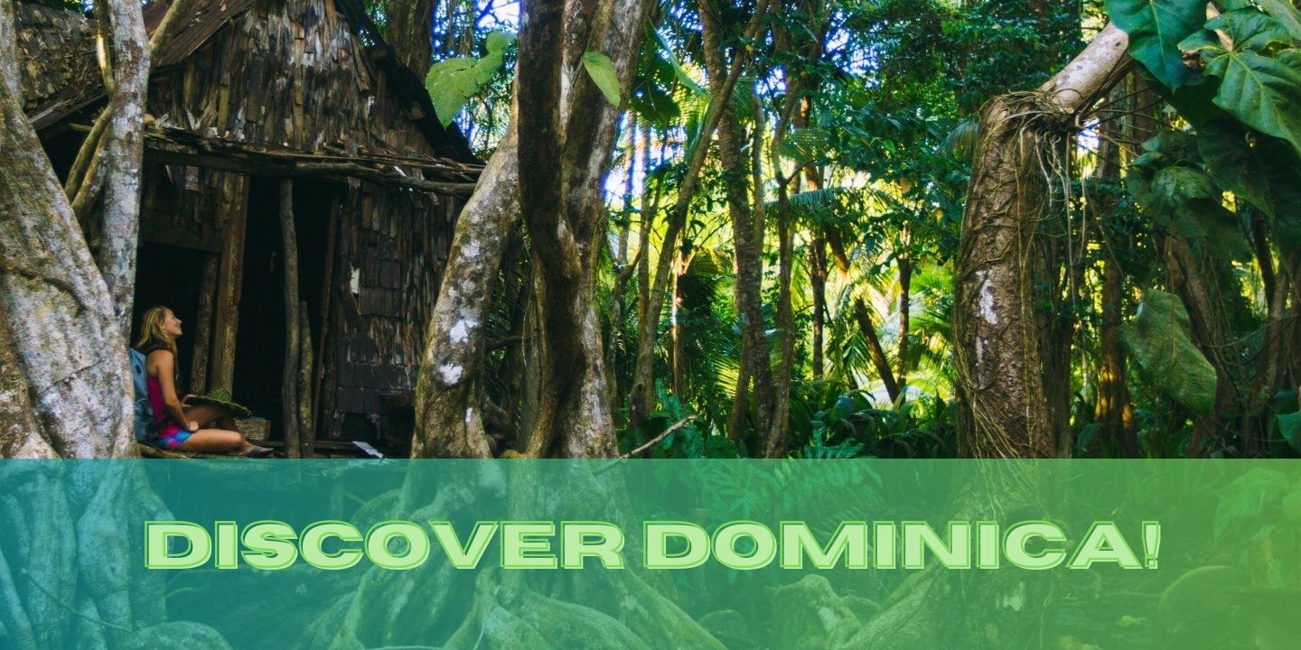 Discover Dominica